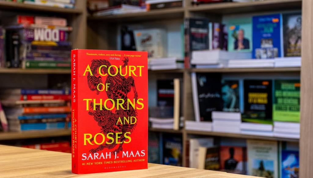 A Fantasy Series You Won’t Want to Put&nbsp;Down